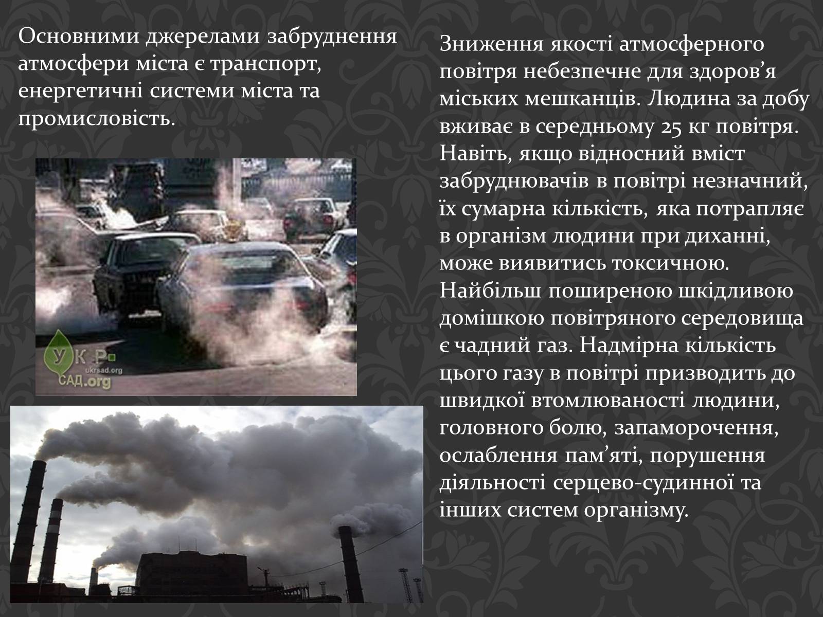 Презентація на тему «Урбанізація та її наслідки» (варіант 2) - Слайд #8