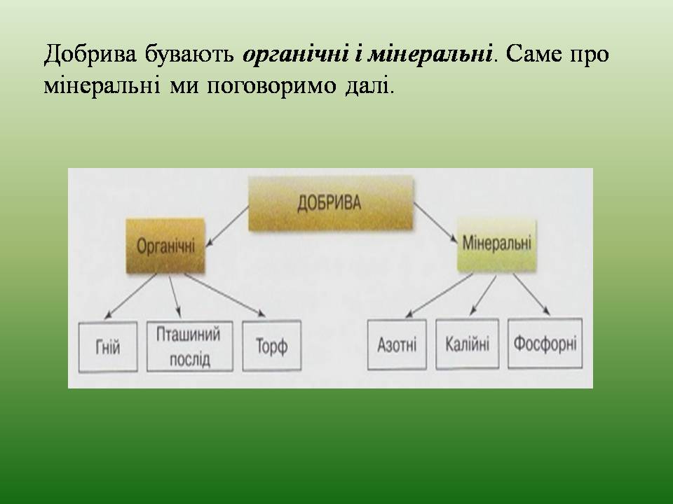 Презентація на тему «Мінеральні добрива» (варіант 11) - Слайд #4