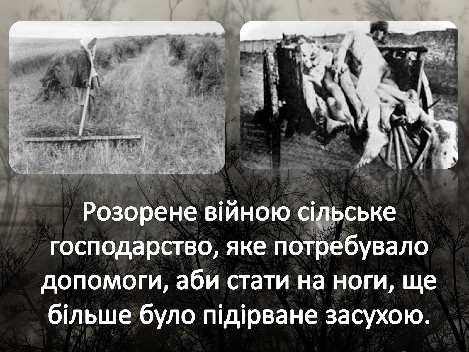 Презентація на тему «Голодомор 1946-1947 років» (варіант 5) - Слайд #5