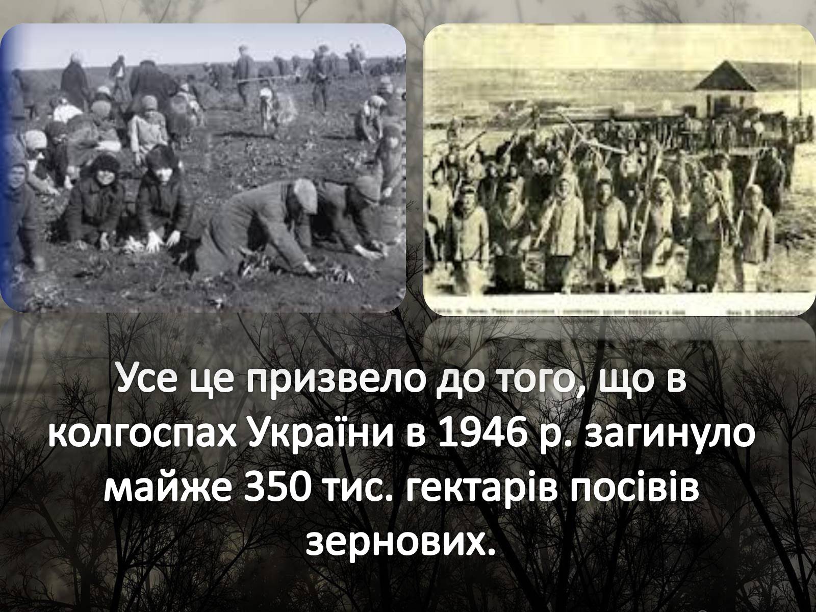 Презентація на тему «Голодомор 1946-1947 років» (варіант 5) - Слайд #6