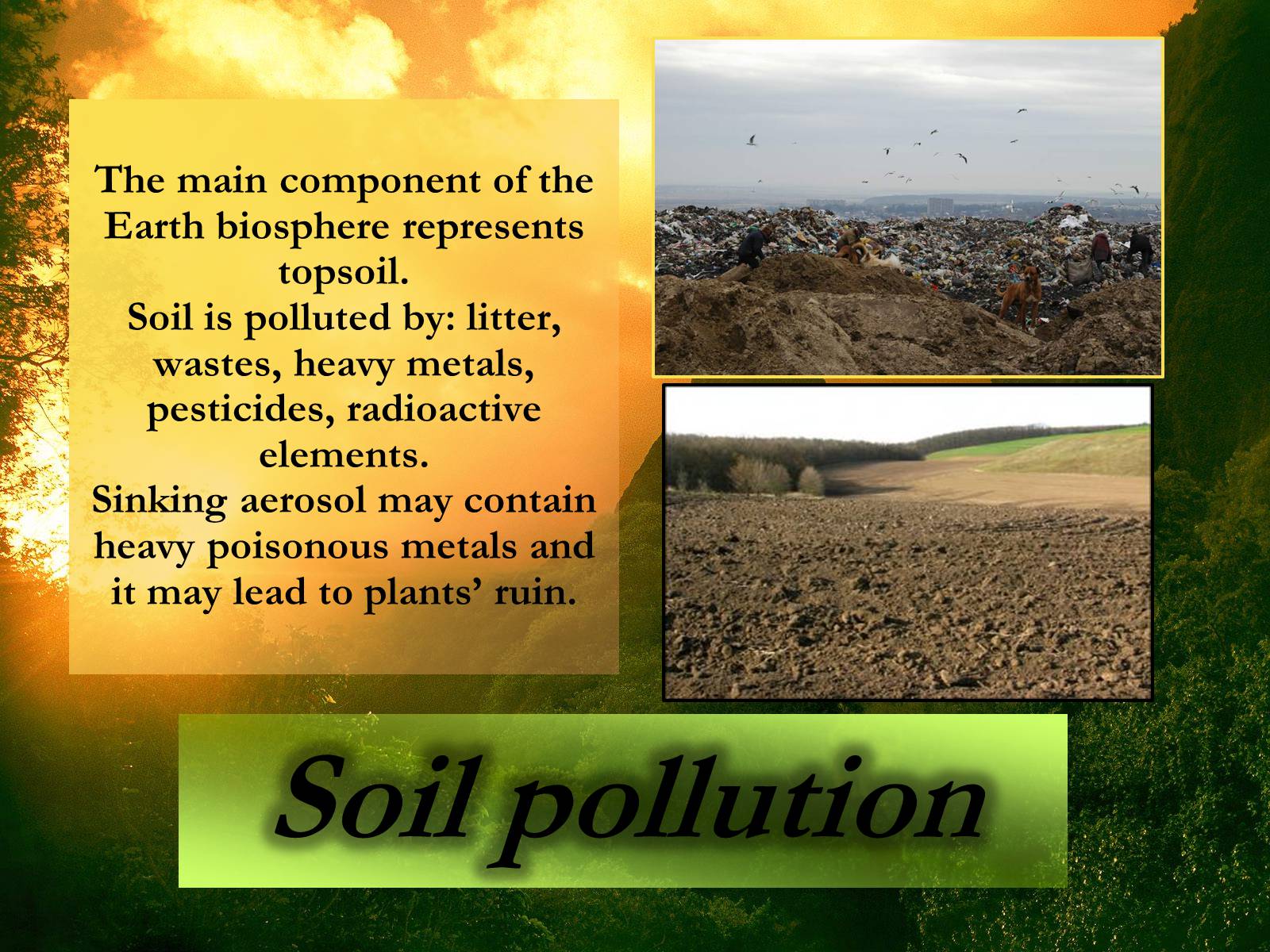 Презентація на тему «Ecological Problems» (варіант 6) - Слайд #10