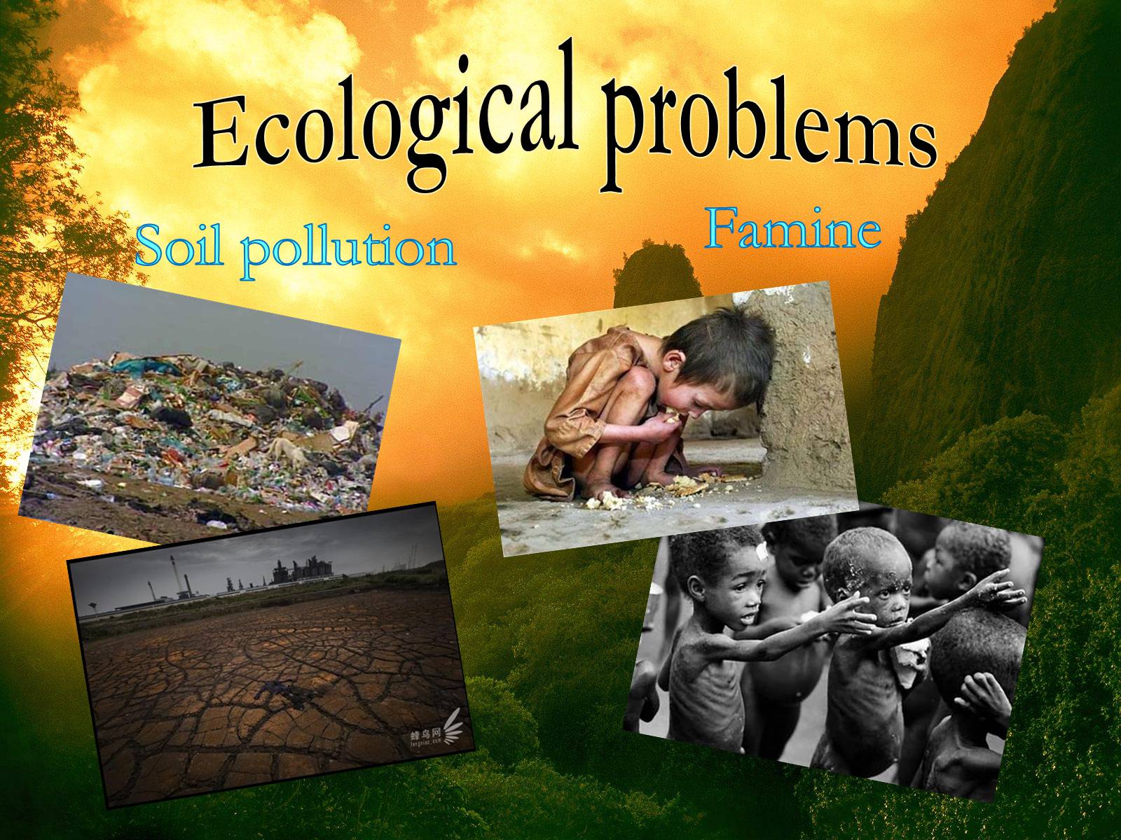 Презентація на тему «Ecological Problems» (варіант 6) - Слайд #6