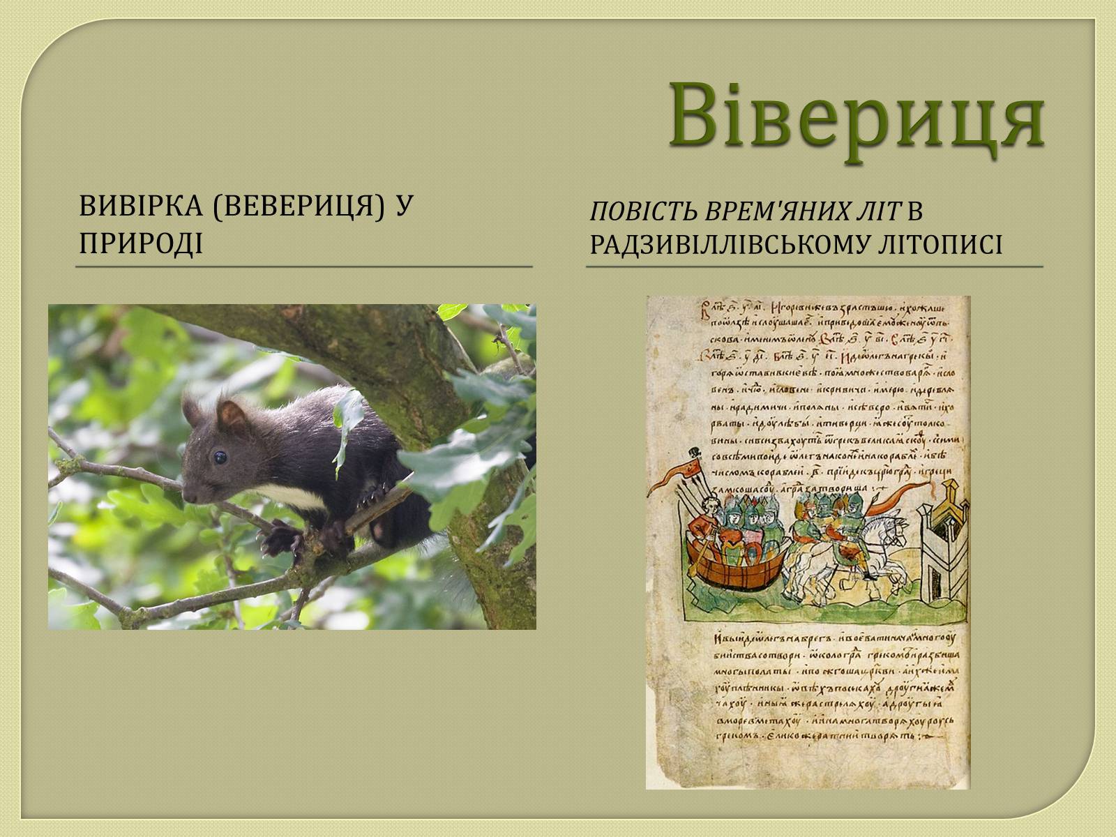 Презентація на тему «Монети Київської Русі» - Слайд #12