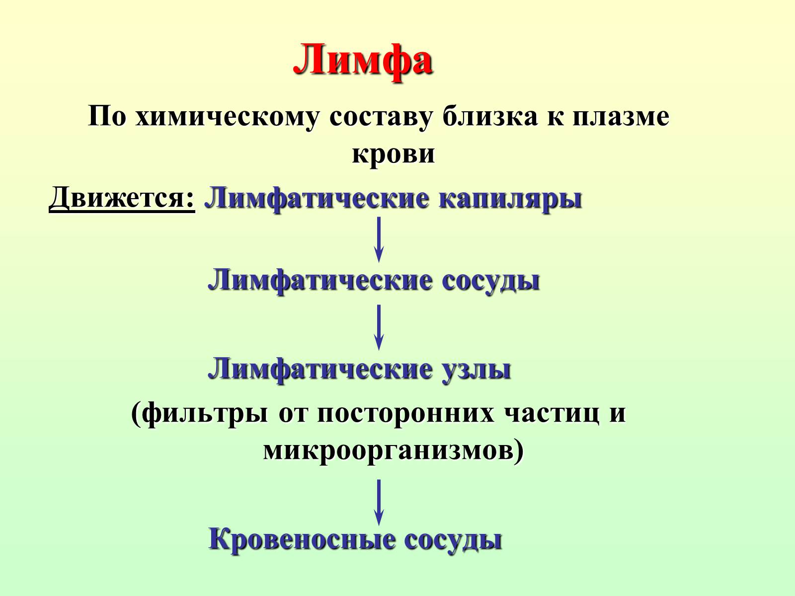 Презентація на тему «Движение крови по сосудам. Лимфообращение» - Слайд #19