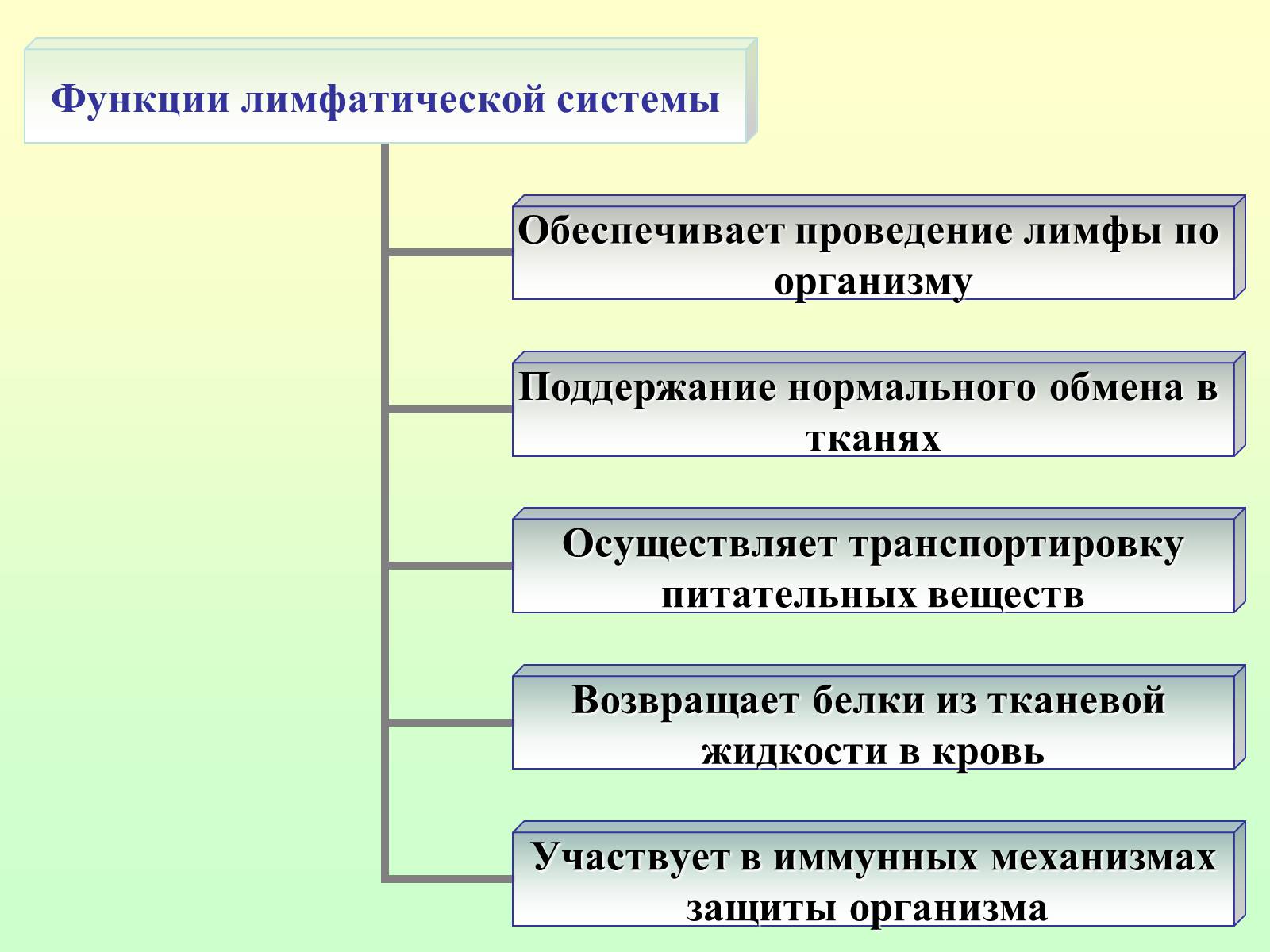 Презентація на тему «Движение крови по сосудам. Лимфообращение» - Слайд #22