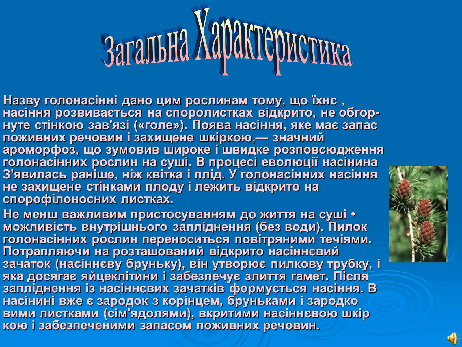 Презентація на тему «Відділ Голонасінні» - Слайд #2