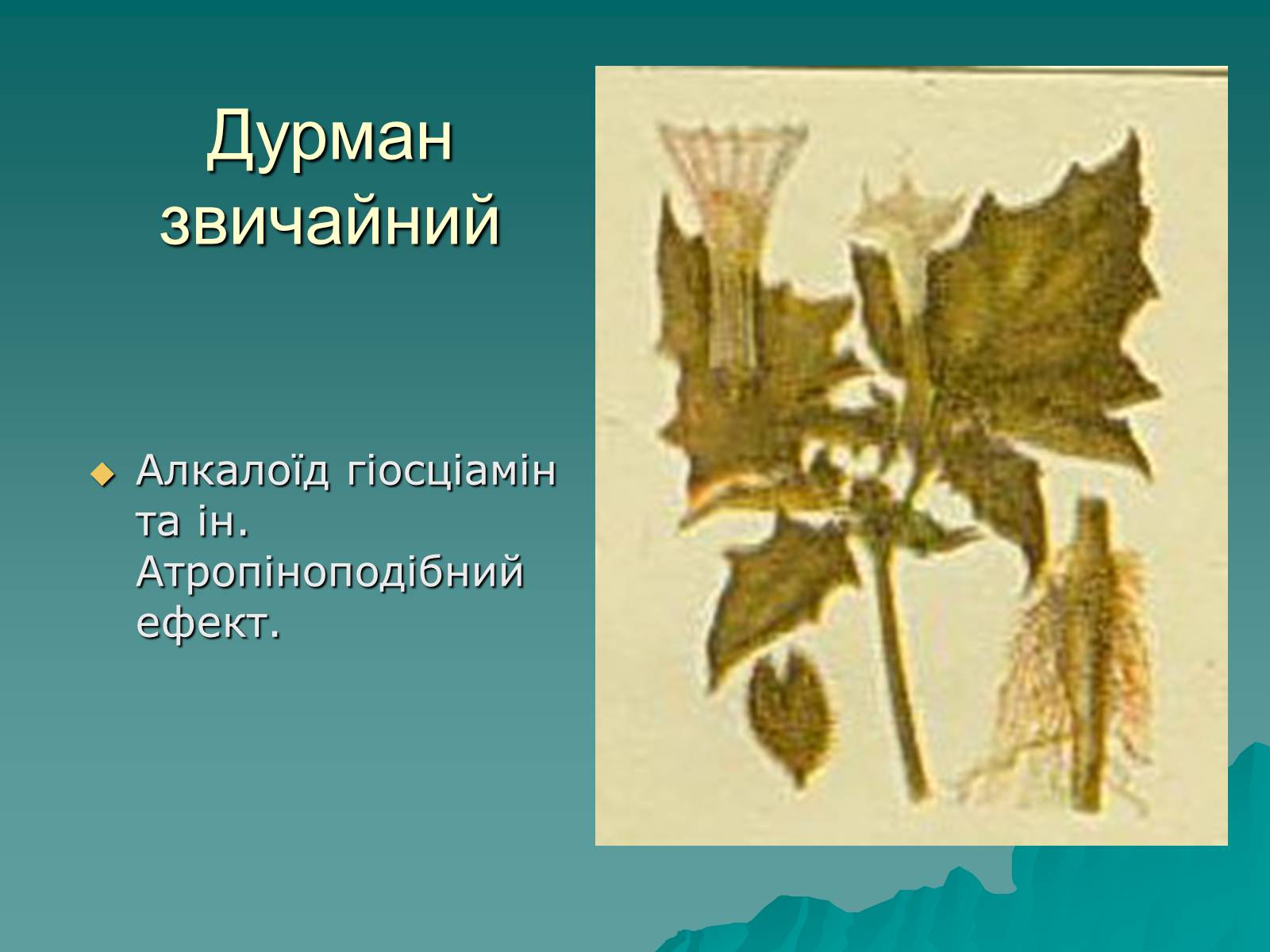 Презентація на тему «Основи безпеки харчування» - Слайд #27