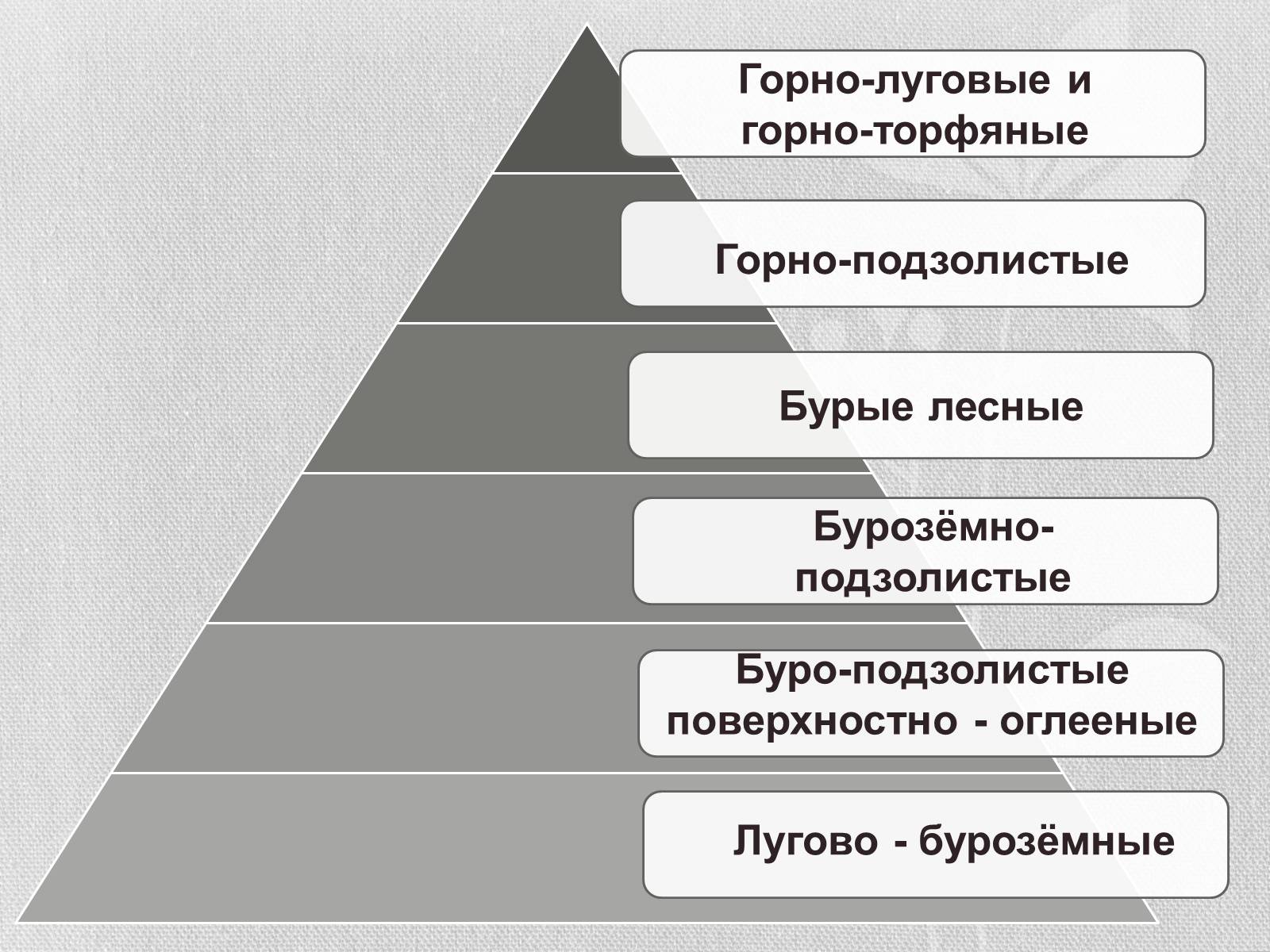 Презентація на тему «Почвы Украины» - Слайд #28