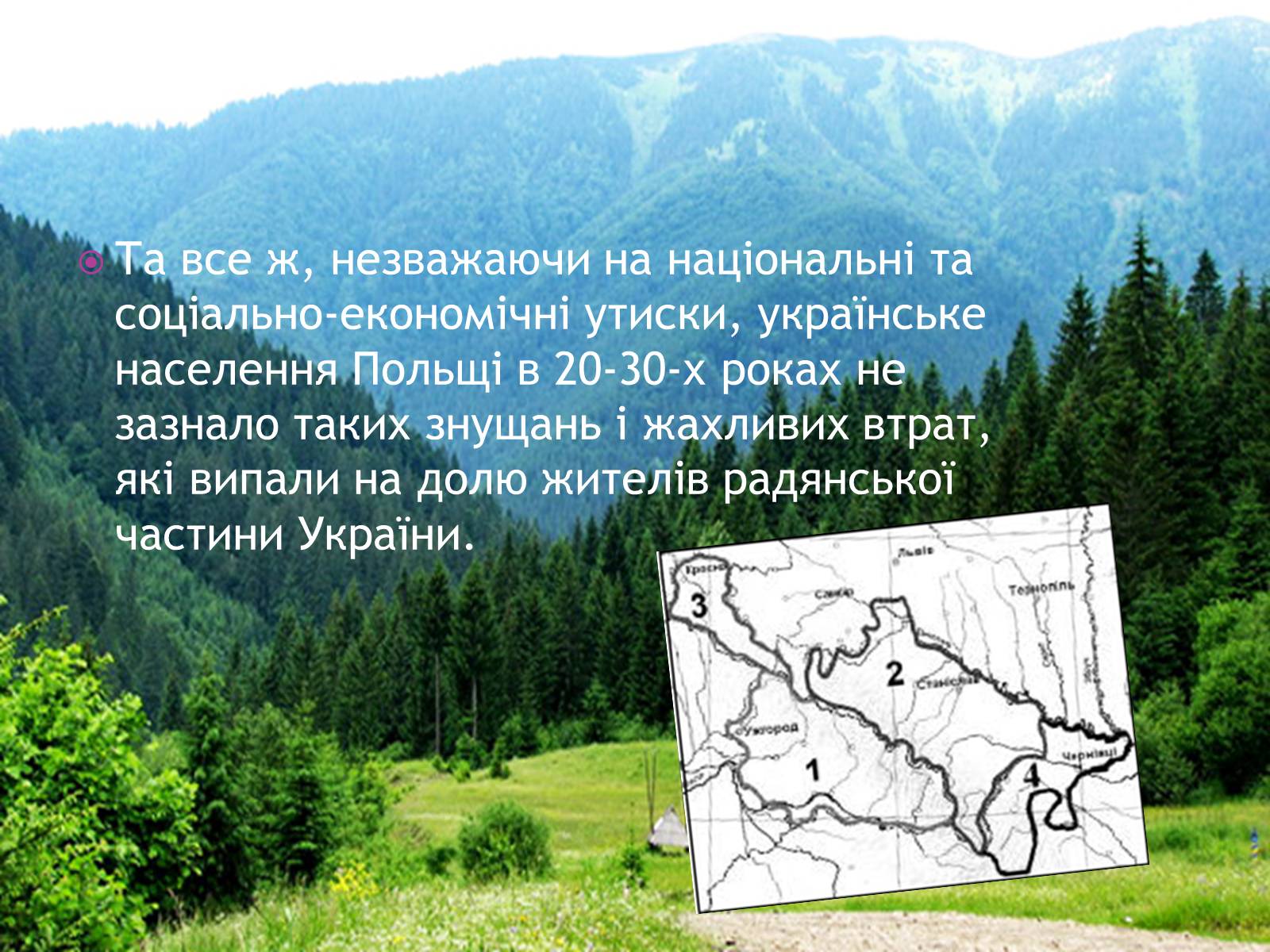 Презентація на тему «Західноукраїнські землі у складі Польщі у 1921-1938рр» - Слайд #10