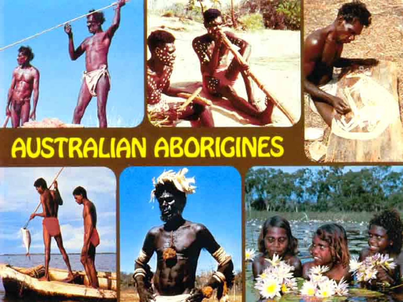 Презентація на тему «Australia is wonderful continent» - Слайд #13