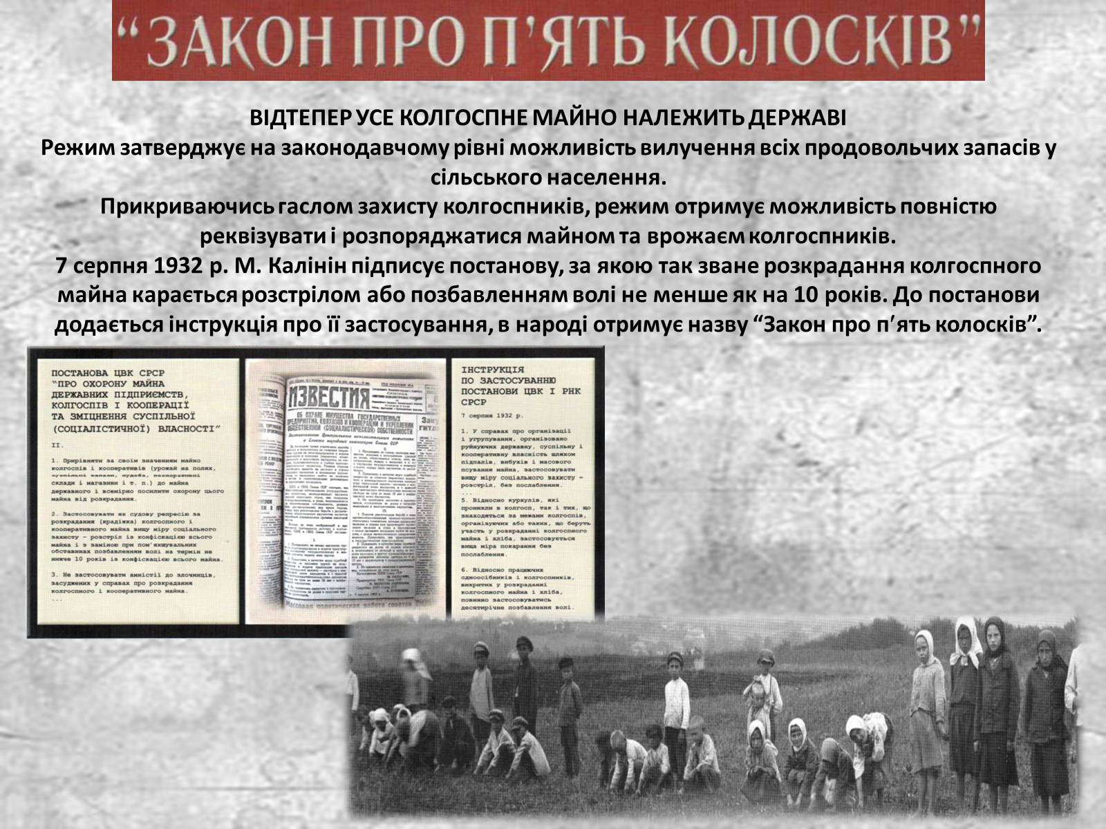 Презентація на тему «Голодомор» (варіант 14) - Слайд #9