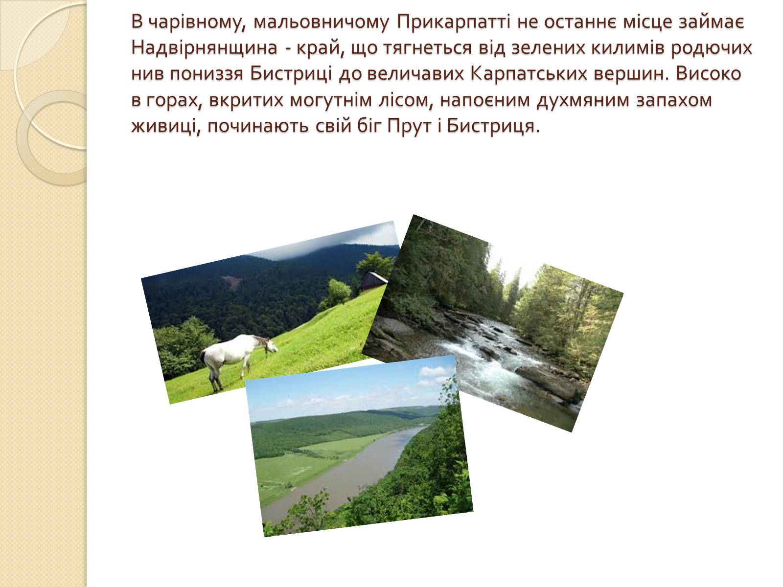 Презентація на тему «Господарське життя: особливості розвитку ринкових відносин у сільському господарстві Надвірнянщини в ІІ полов. ХІХст.»» - Слайд #3