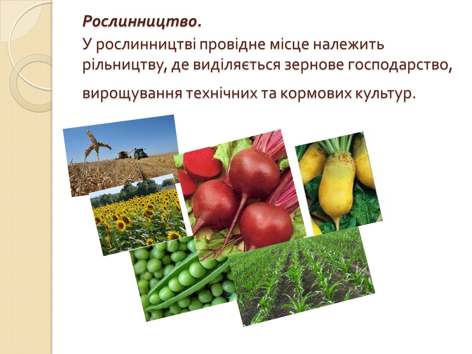 Презентація на тему «Господарське життя: особливості розвитку ринкових відносин у сільському господарстві Надвірнянщини в ІІ полов. ХІХст.»» - Слайд #8