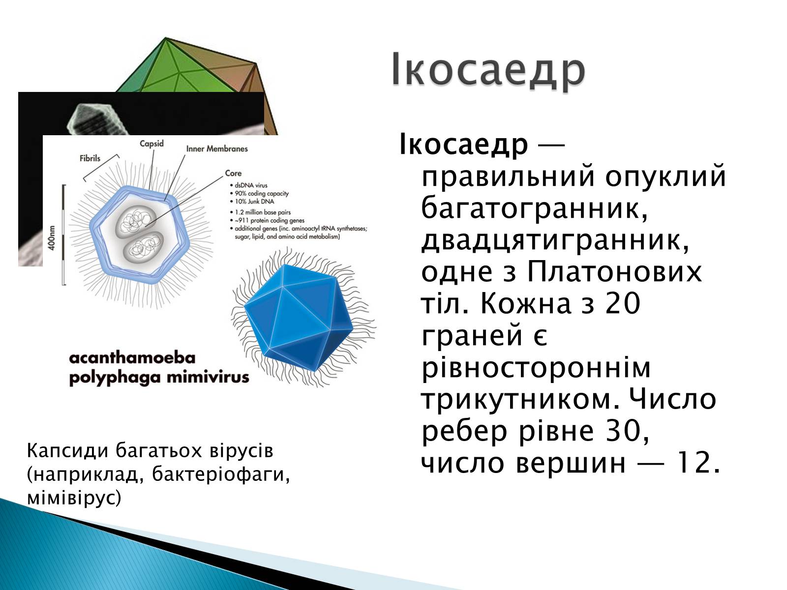 Презентація на тему «Правильні многогранники» (варіант 5) - Слайд #8