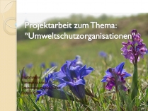 Презентація на тему «Umweltschutzorganisationen»