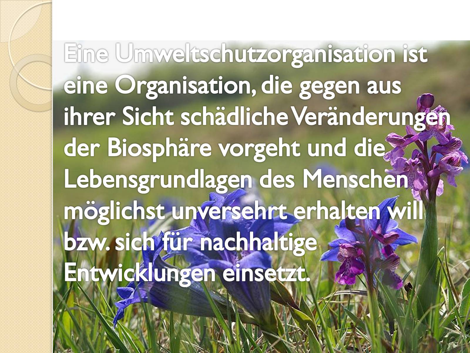 Презентація на тему «Umweltschutzorganisationen» - Слайд #2