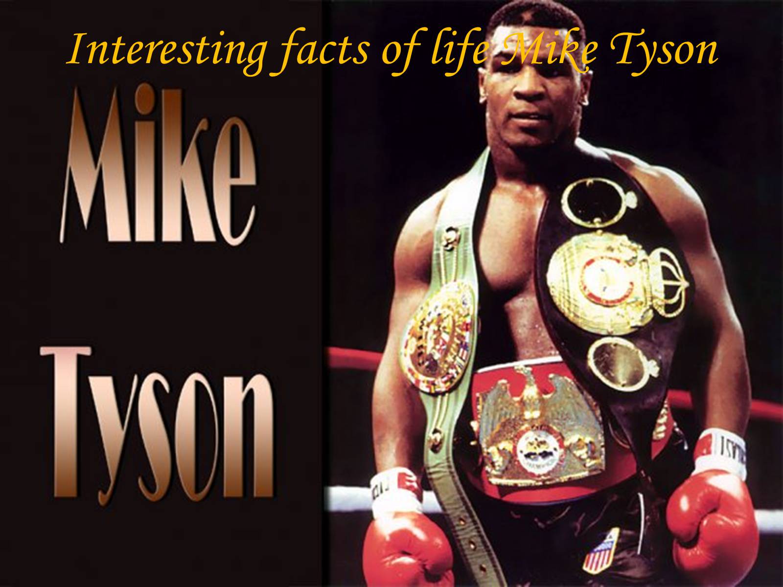 Презентація на тему «Mike Tyson» - Слайд #3