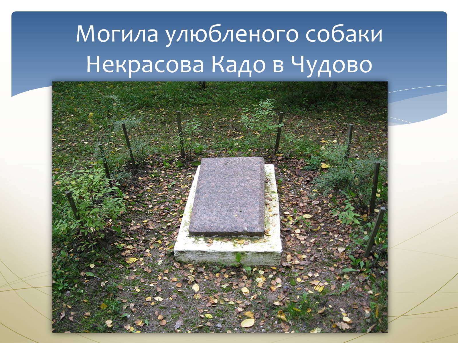 Презентація на тему «Некрасов Микола Олексійович» (варіант 1) - Слайд #16