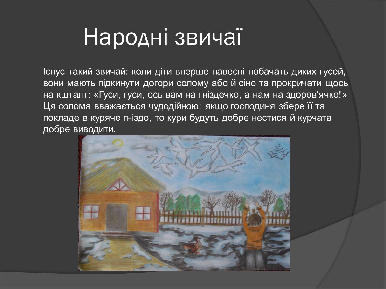 Презентація на тему «Образ гусей-лебедів у повісті «Гуси-лебеді летять»» - Слайд #6