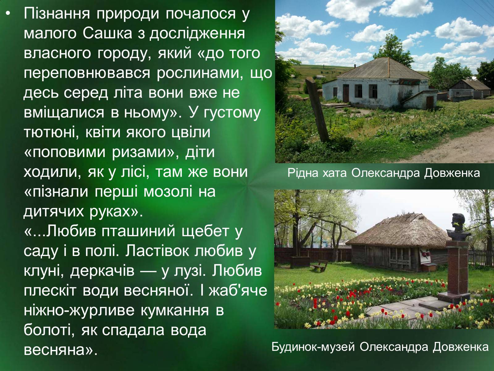 Презентація на тему «Роль природи в творі Зачарована десна» - Слайд #7