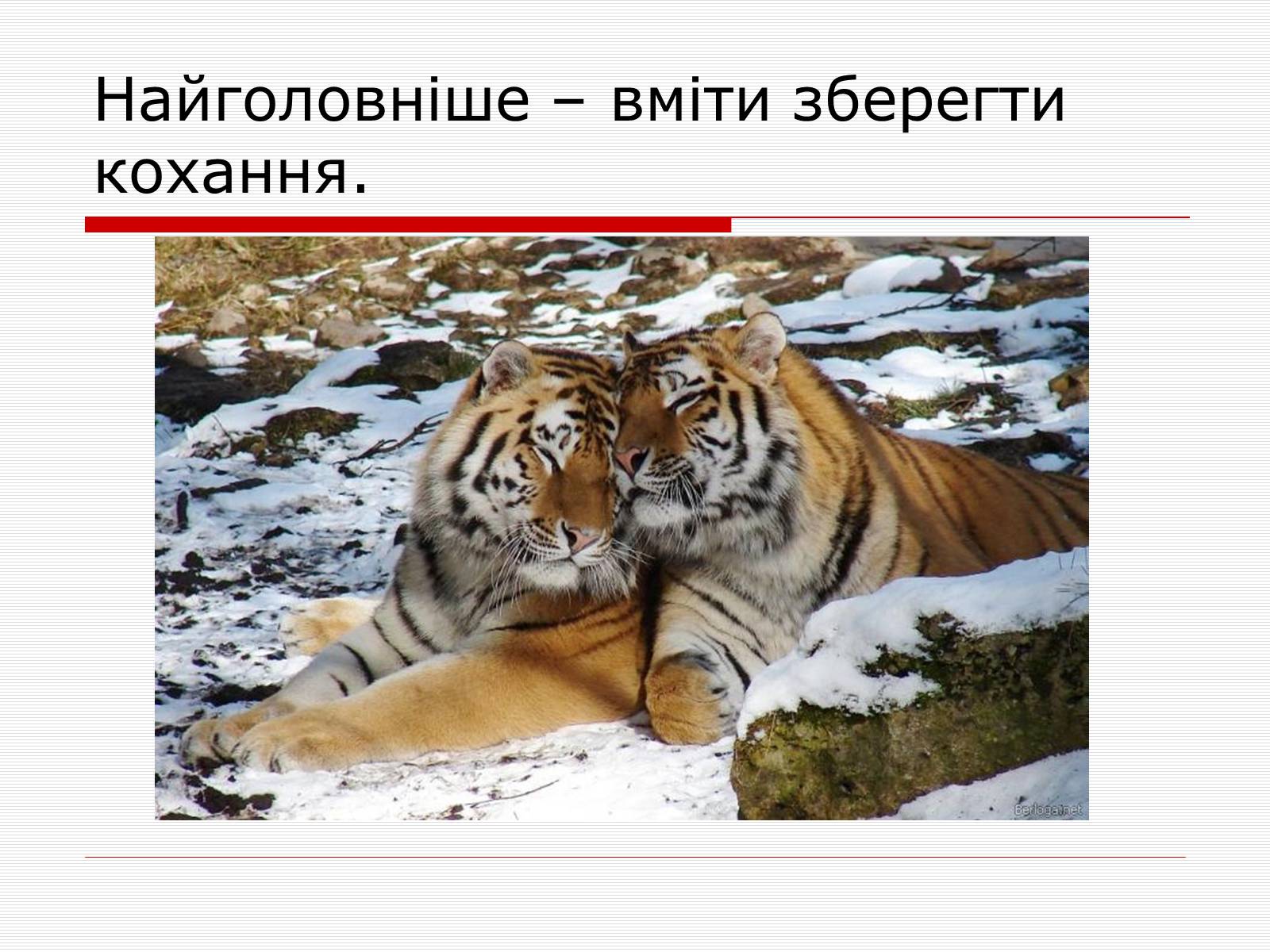 Презентація на тему «Крилаті вислови до новели Г.Тютюнника “Три зозулі з поклоном”» - Слайд #3