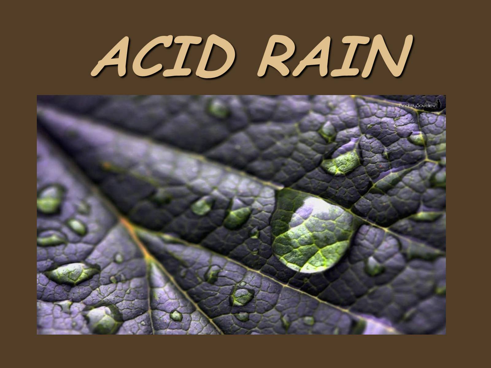 Презентація на тему «Acid rain» - Слайд #1