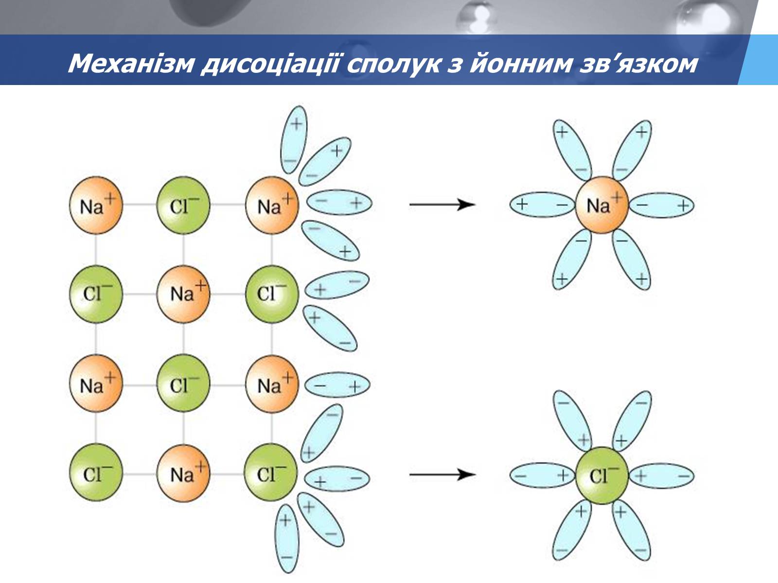 Презентація на тему «Електролітична дисоціація. Електроліти і неелектроліти» - Слайд #8