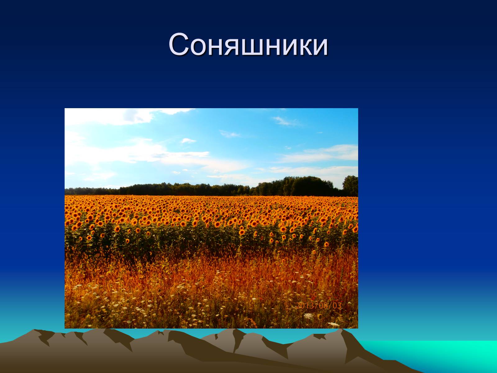 Презентація на тему «Природні Явища та механічний рух» - Слайд #17