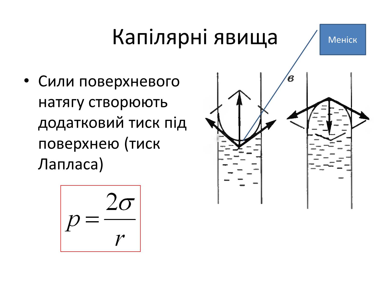 Презентація на тему «Властивості рідин. Поверхневий натяг» - Слайд #9