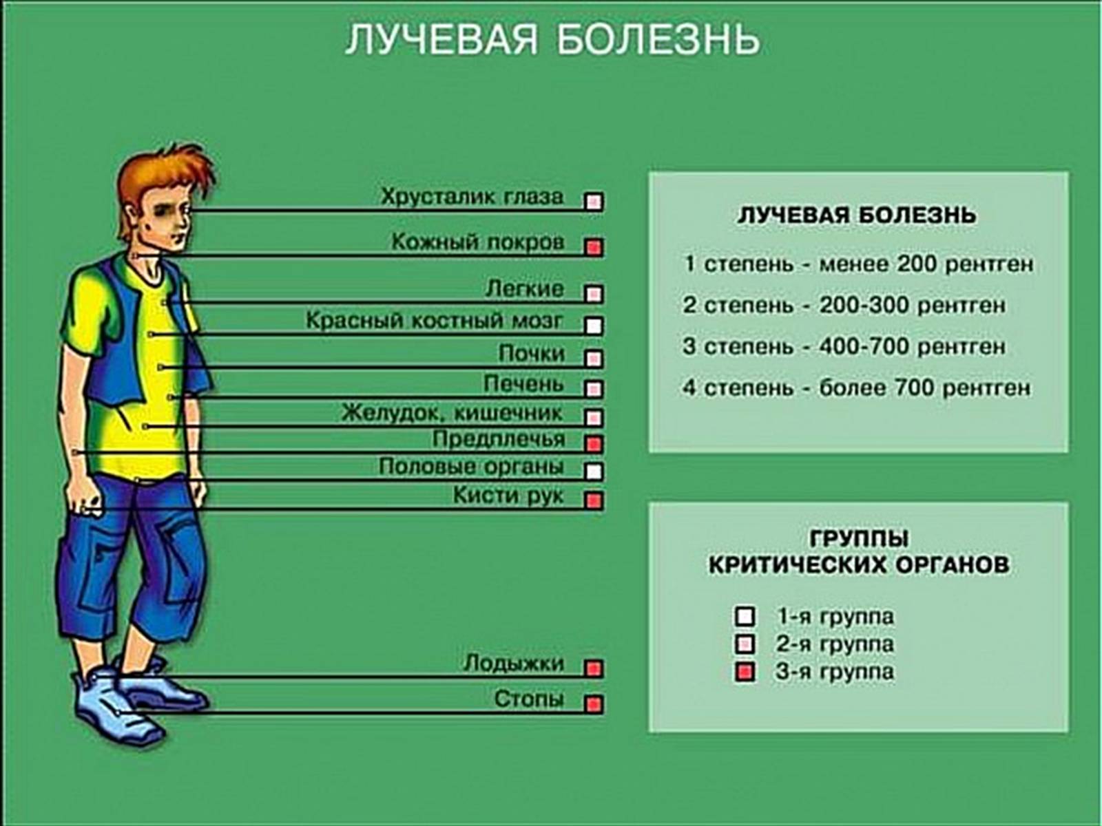 Презентація на тему «Вплив радіоактивного випромінювання на живі організми» (варіант 3) - Слайд #10