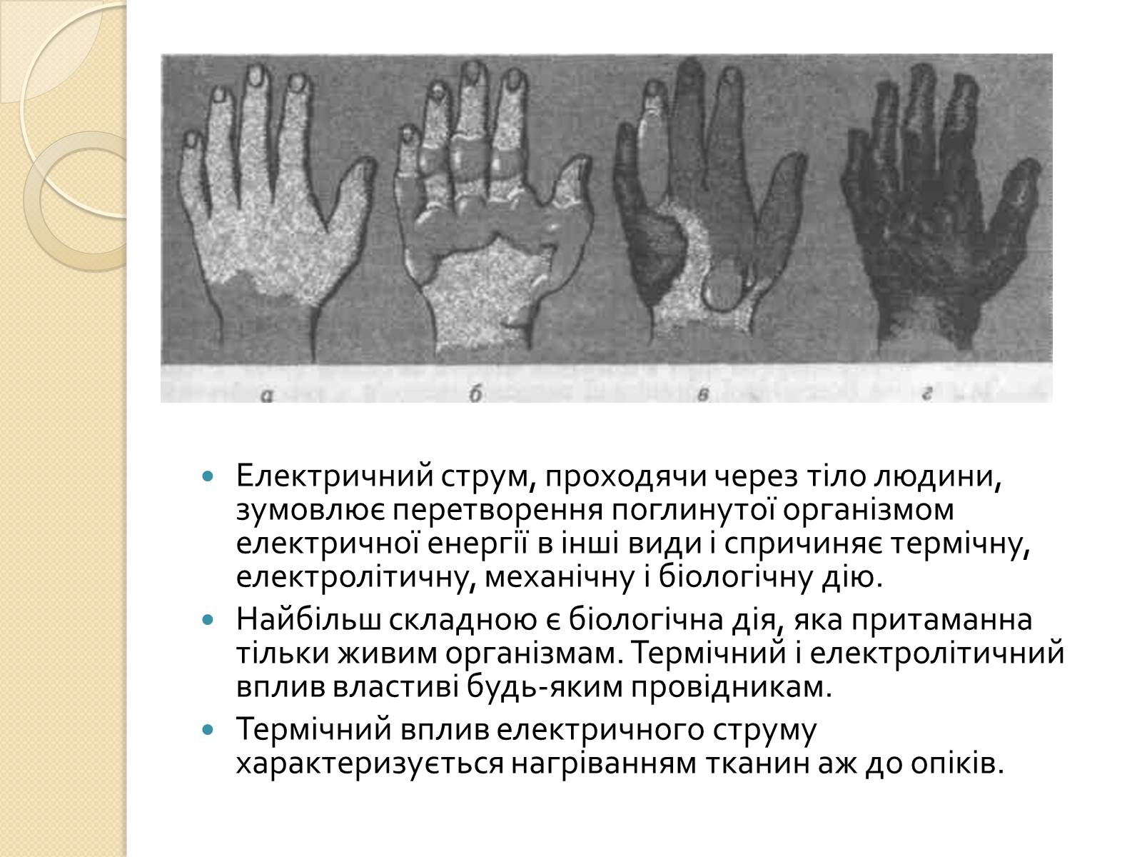 Презентація на тему «Вплив електричного поля на живі організми» (варіант 1) - Слайд #4