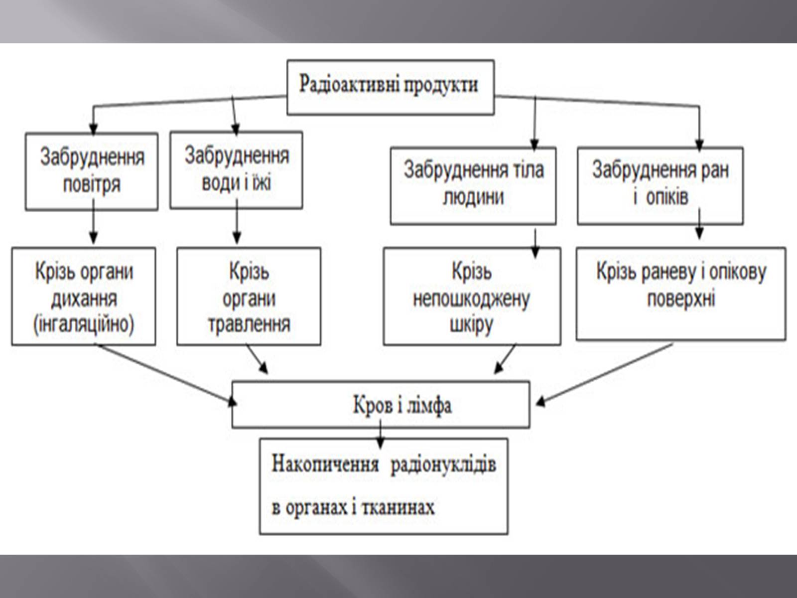 Презентація на тему «Дія на організм людини іонізуючого випромінювання» - Слайд #3