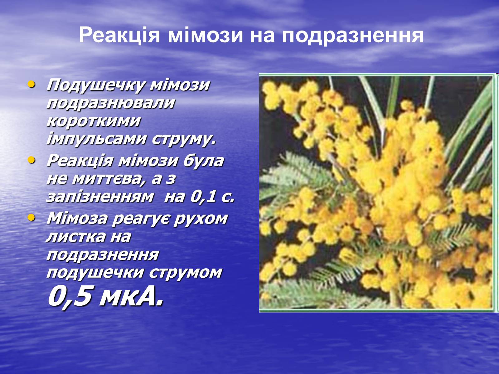 Презентація на тему «Струм у живій природі» - Слайд #10