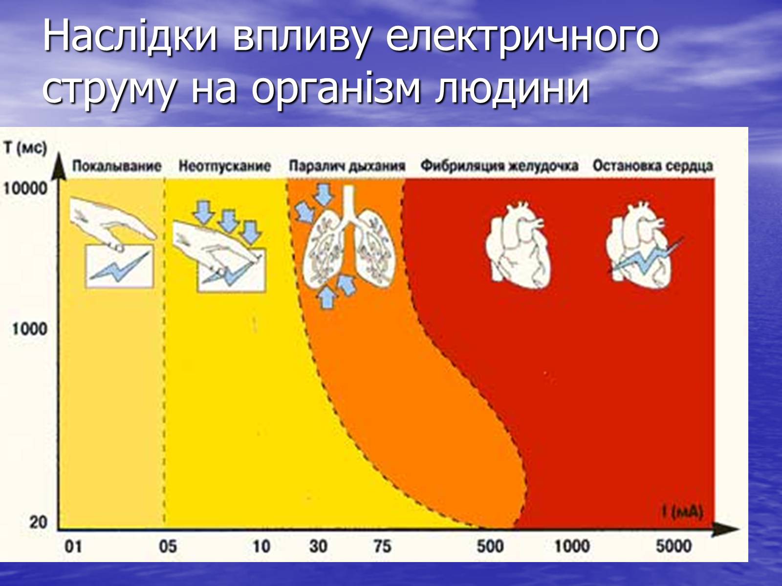 Презентація на тему «Струм у живій природі» - Слайд #21