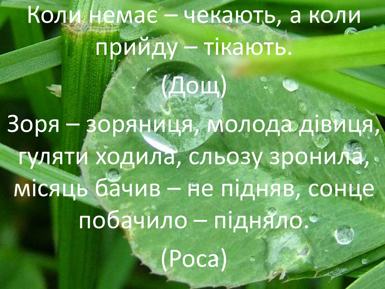 Презентація на тему «Фізика в прислів&#8217;ях, приказках, загадках» - Слайд #4