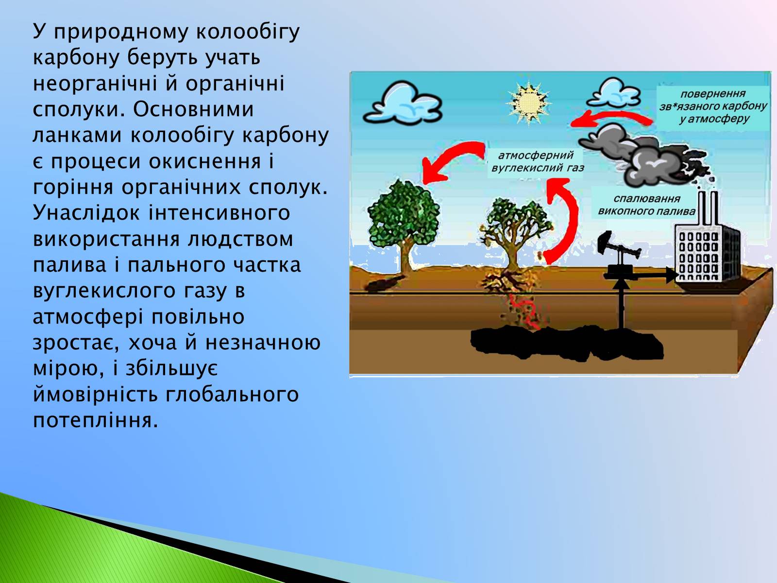 Презентація на тему «Колообіг Оксигену, Нітрогену, Карбону в природі» (варіант 1) - Слайд #6