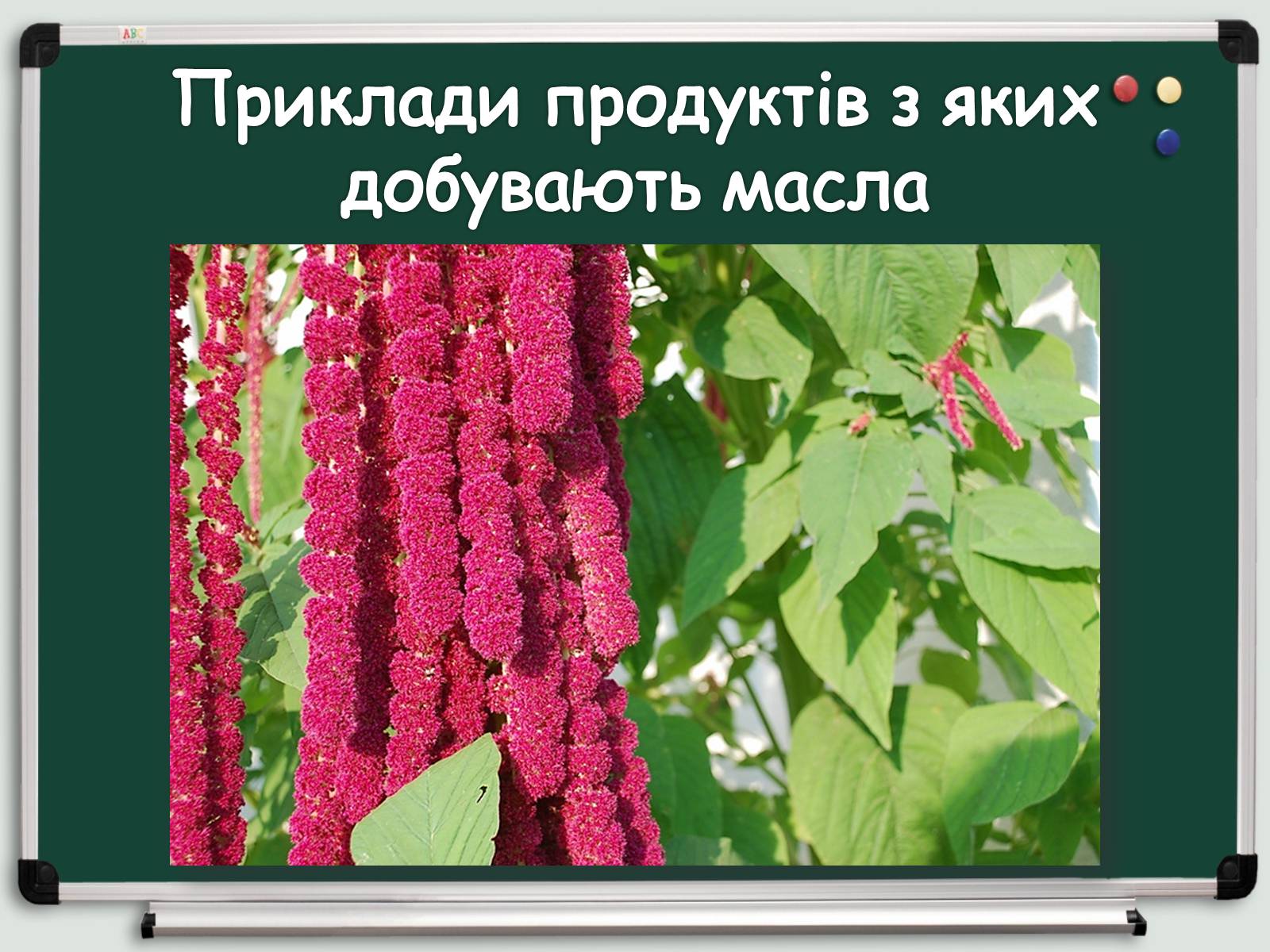 Презентація на тему «Косметичні засоби» (варіант 1) - Слайд #5