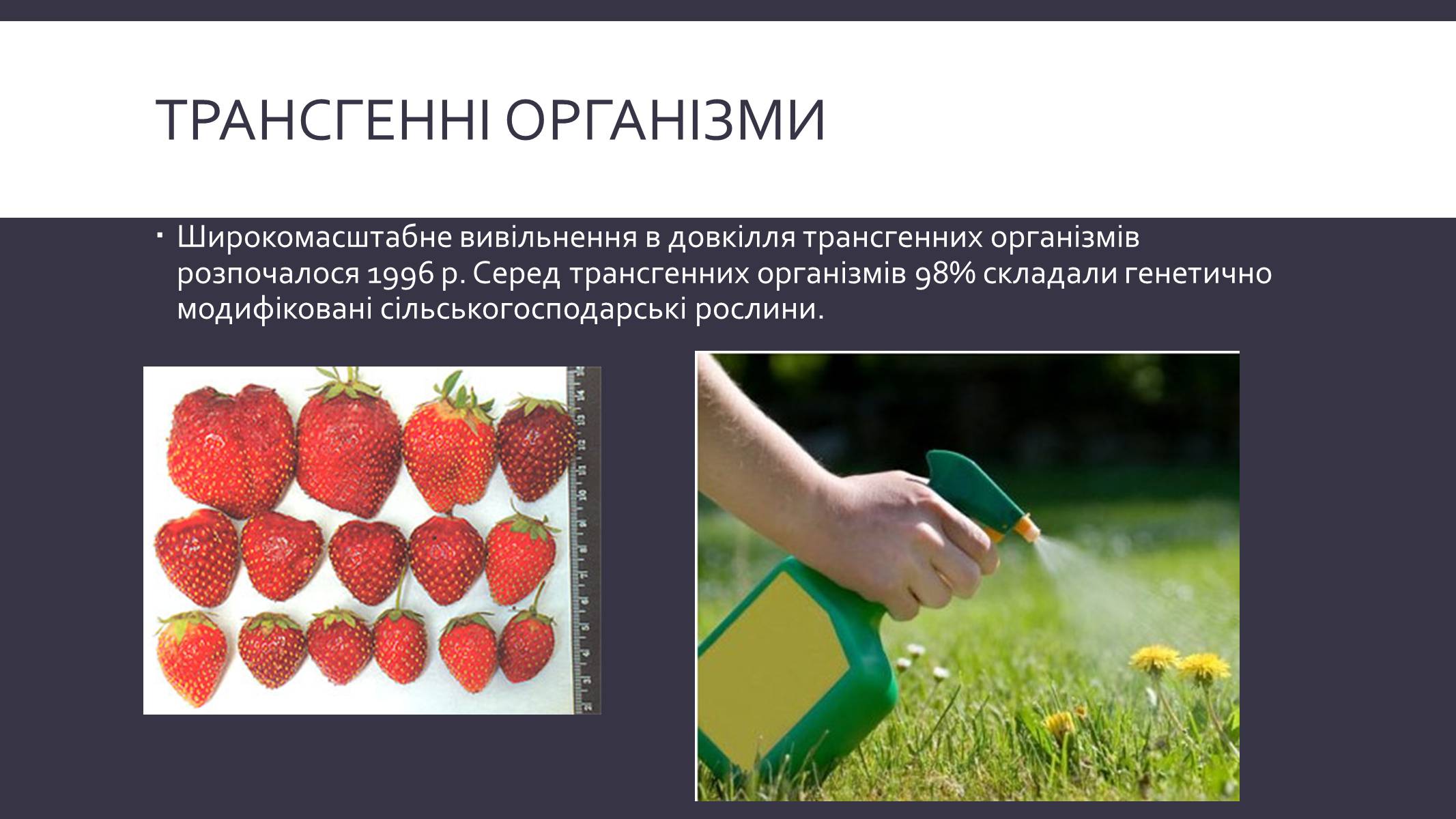 Презентація на тему «Химерні та трансгенні організми» (варіант 3) - Слайд #10