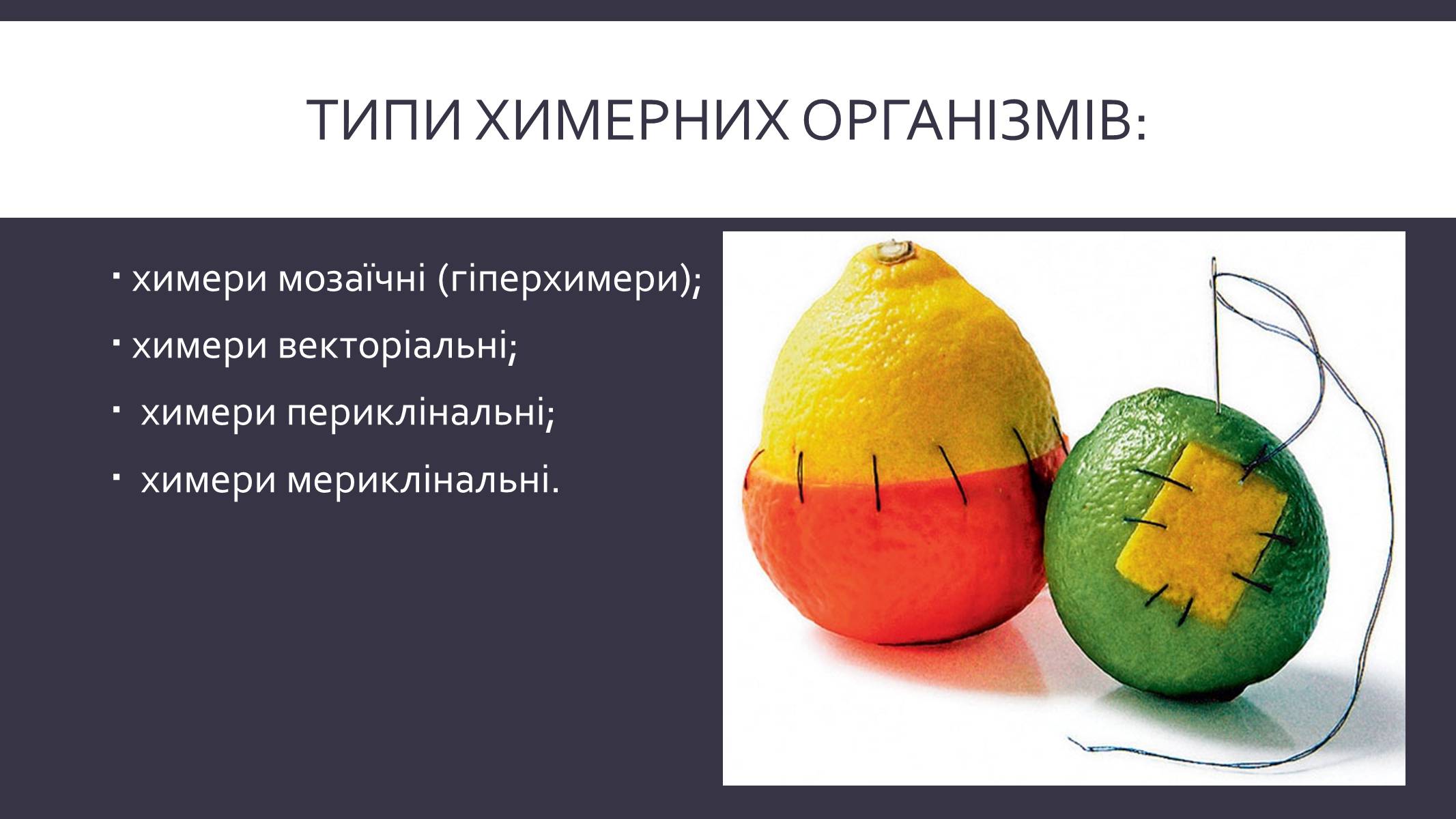 Презентація на тему «Химерні та трансгенні організми» (варіант 3) - Слайд #4