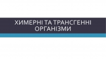 Презентація на тему «Химерні та трансгенні організми» (варіант 3)