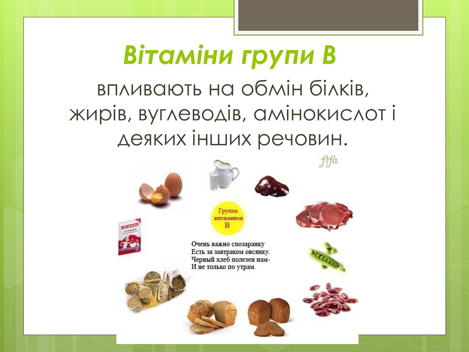 Презентація на тему «Органічні речовини в живій природі» (варіант 2) - Слайд #10