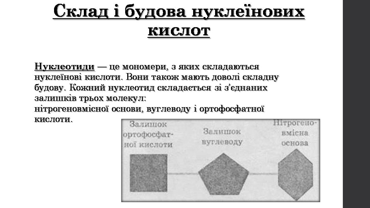 Презентація на тему «Нуклеїнові кислоти» (варіант 9) - Слайд #6