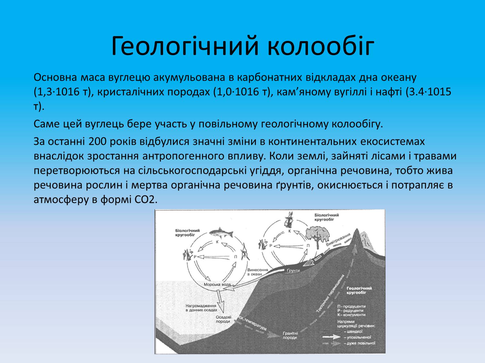 Презентація на тему «Кругообіг речовин в природі» - Слайд #30