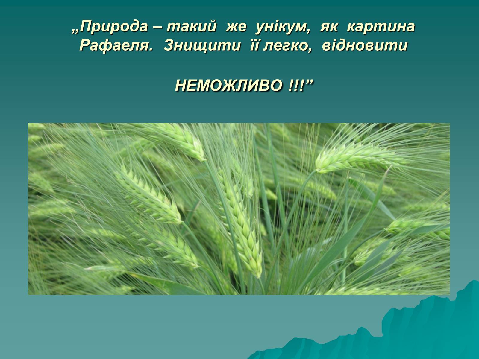 Презентація на тему «Мінеральні добрива» (варіант 8) - Слайд #2