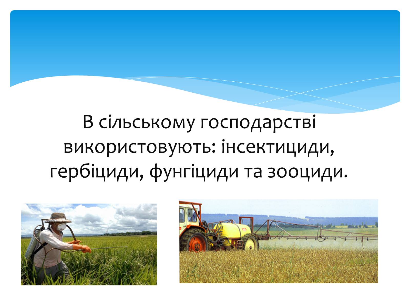 Презентація на тему «Поняття про хімічні засоби захисту рослин» - Слайд #6