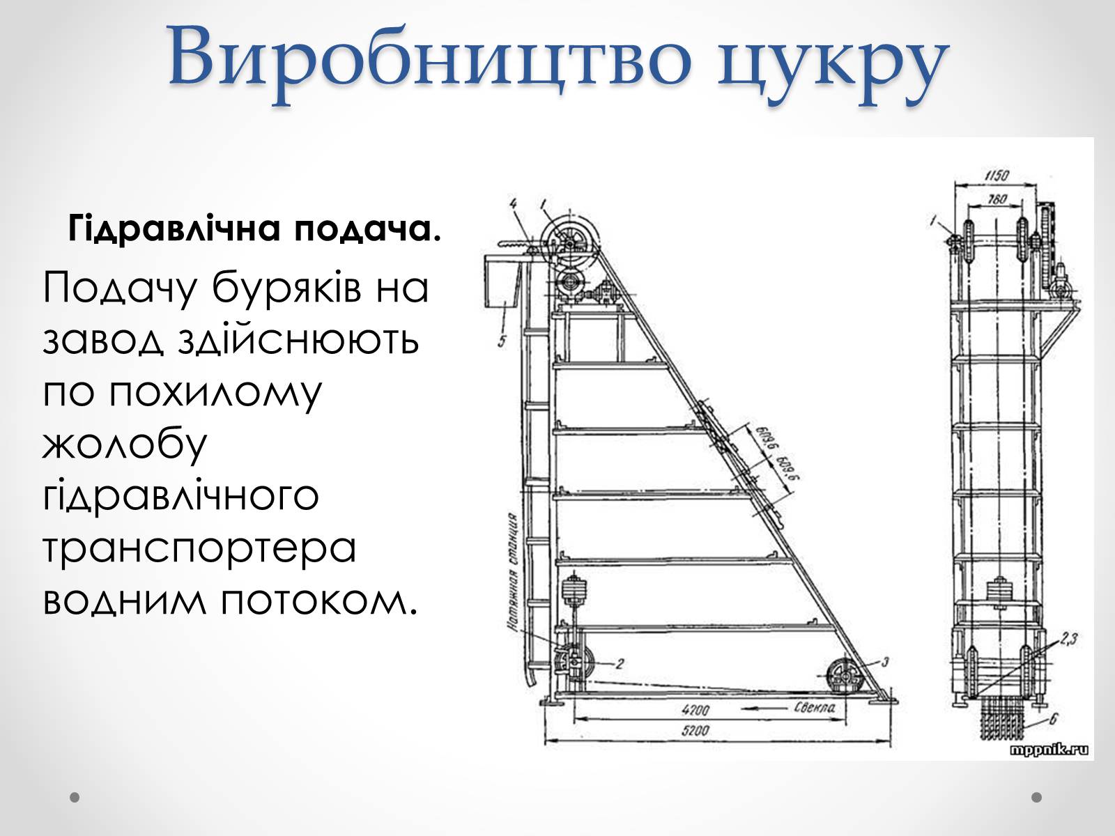 Презентація на тему «Виробництво цукру» - Слайд #12