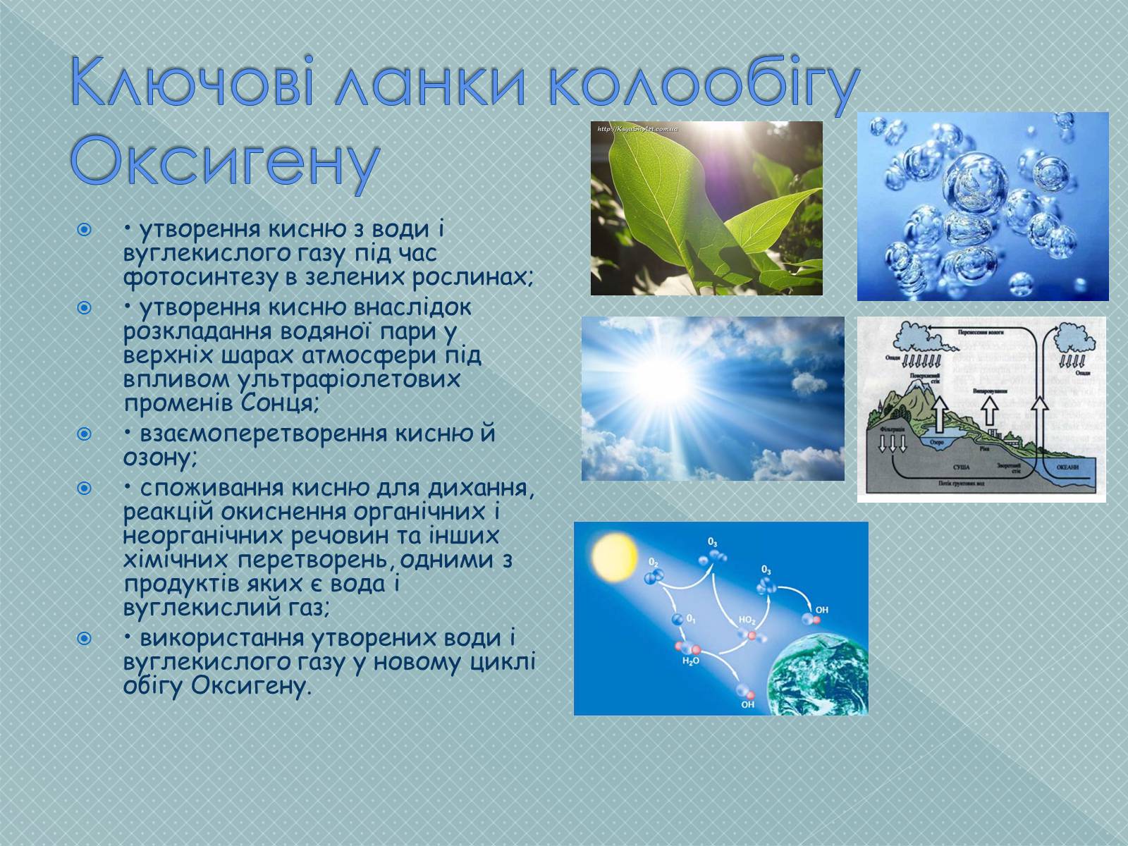 Презентація на тему «Колообіг Оксигену, Нітрогену, Карбону в природі» (варіант 2) - Слайд #4