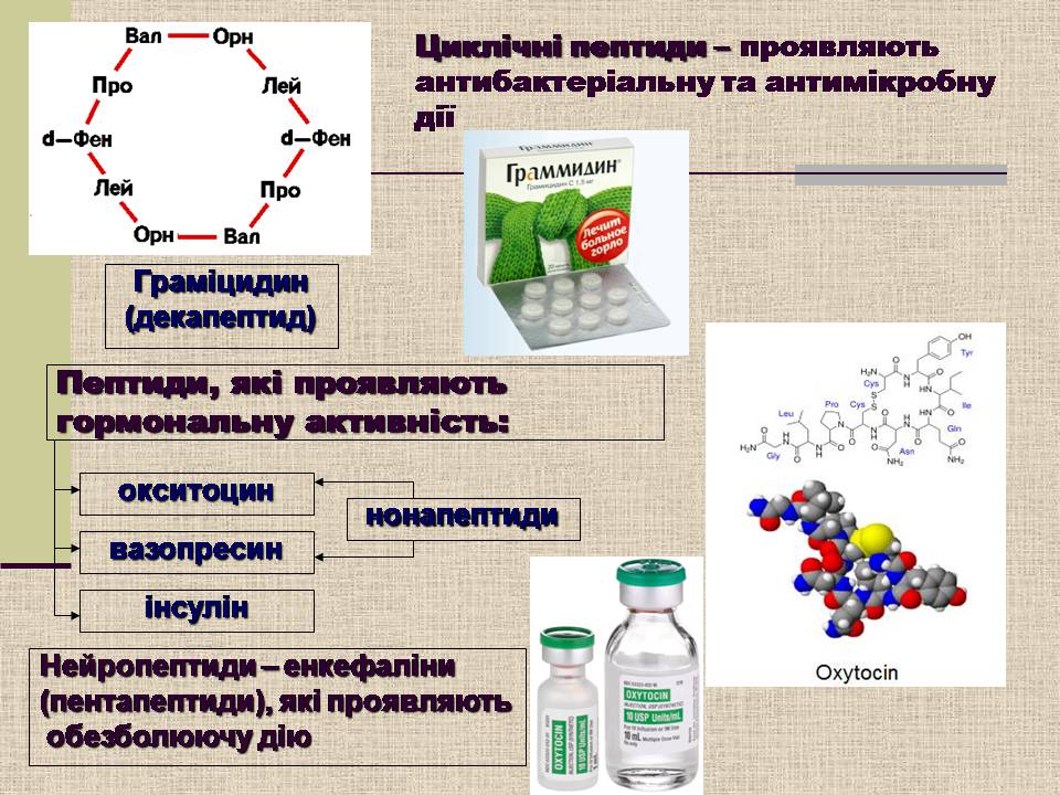 Презентація на тему «Амінокислоти. Пептиди. Білки» - Слайд #16