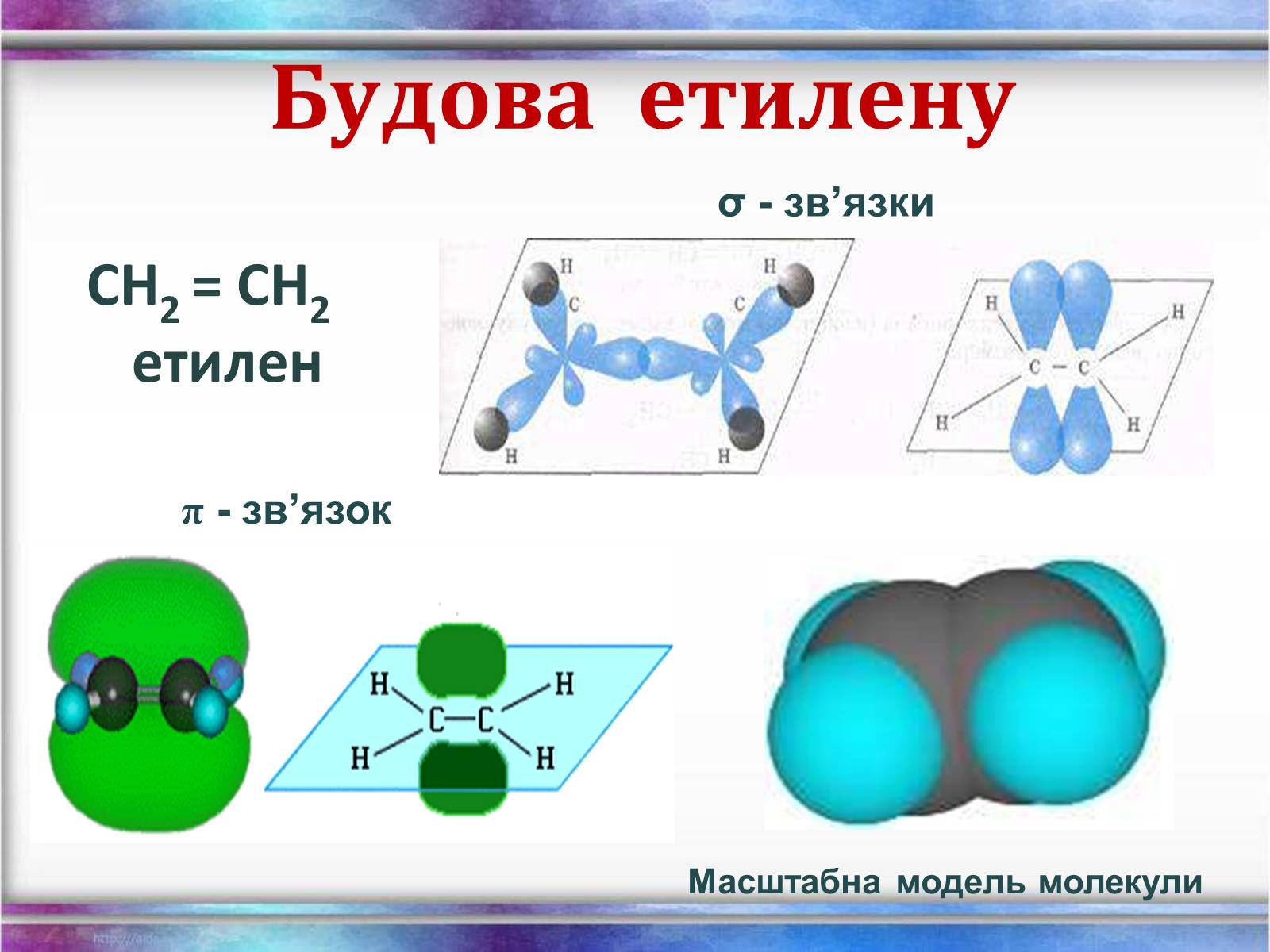 Презентація на тему «Вуглеводи як компоненти їжі, їх роль у житті людини» (варіант 1) - Слайд #10