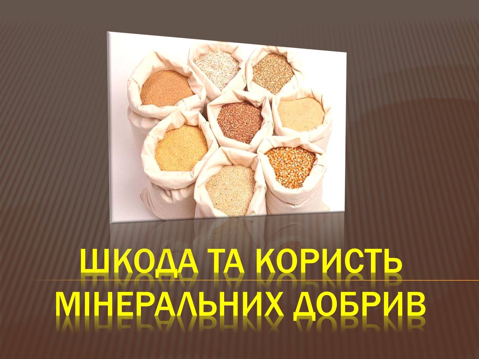 Презентація на тему «Шкода та користь мінеральних добрив» - Слайд #1